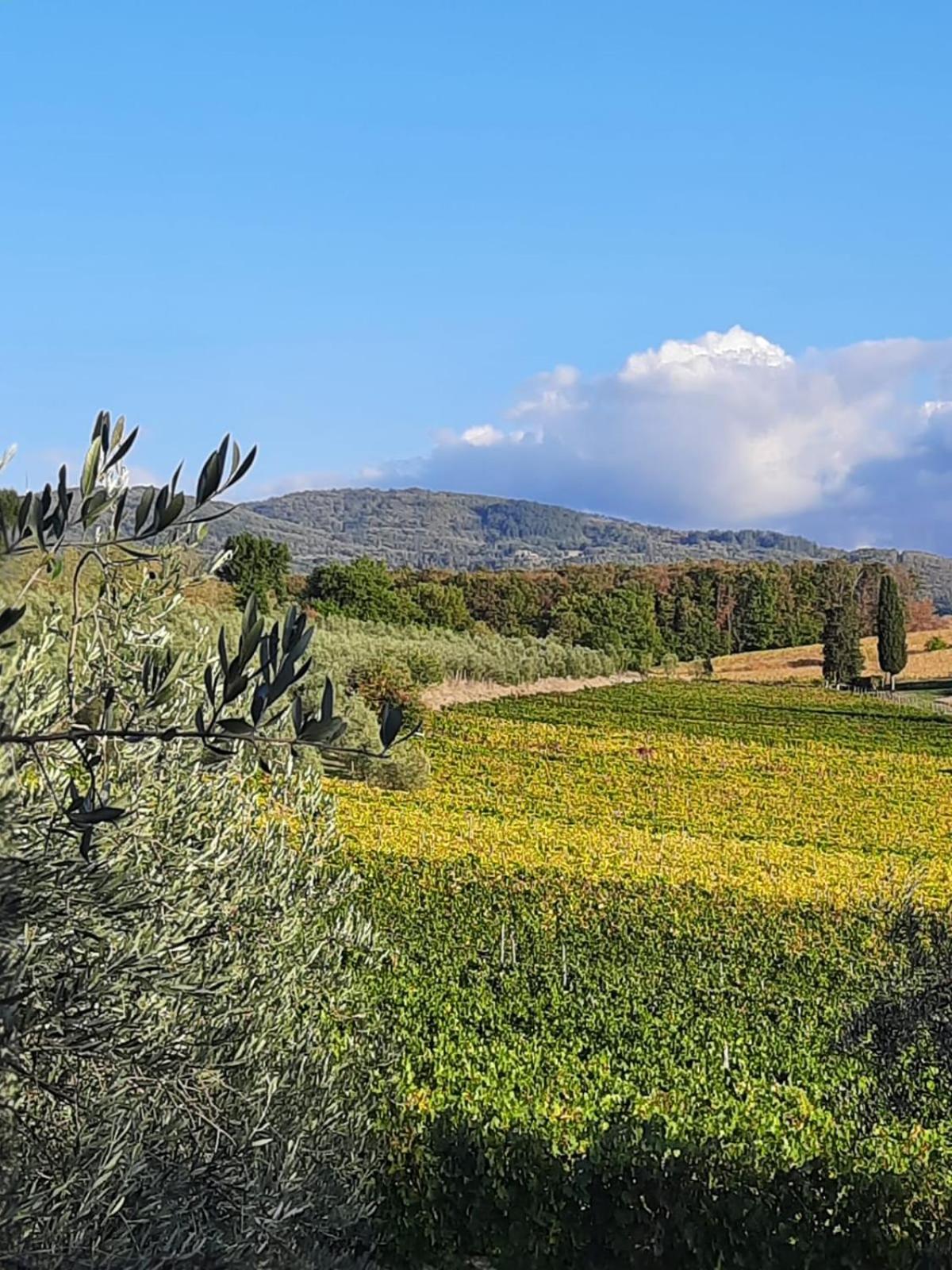Agriturismo Circugnano Grassina Esterno foto