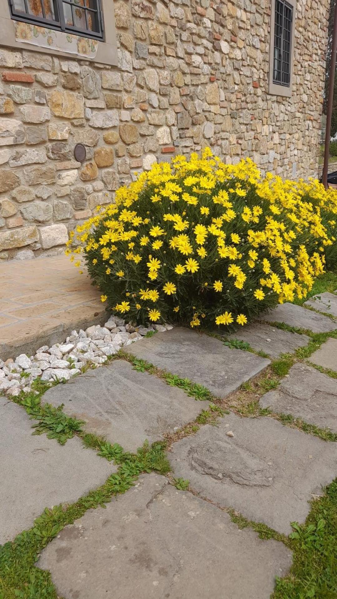 Agriturismo Circugnano Grassina Esterno foto