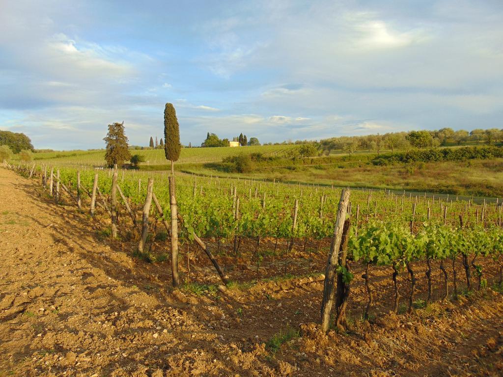 Agriturismo Circugnano Grassina Esterno foto