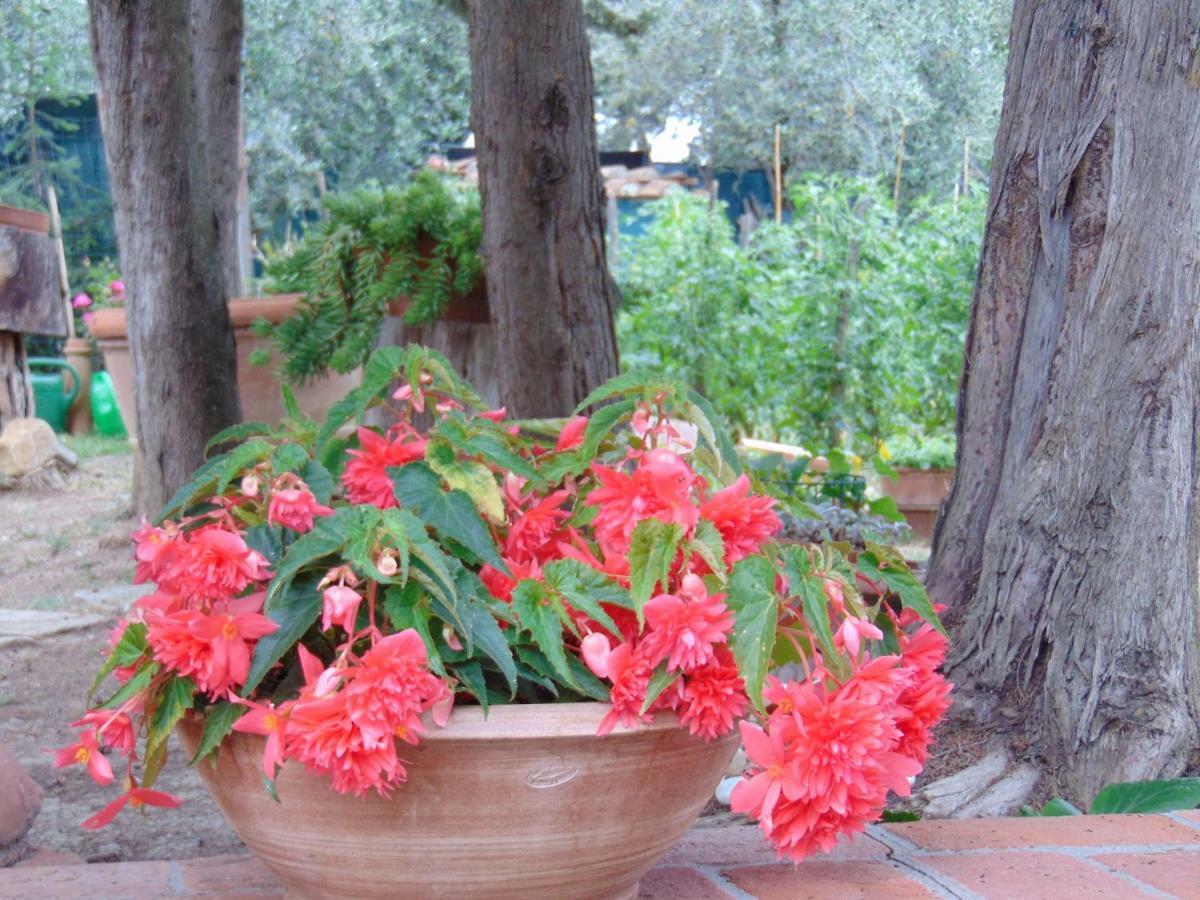 Agriturismo Circugnano Grassina Esterno foto